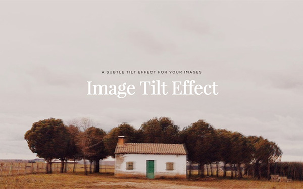 Image Tilt Effect