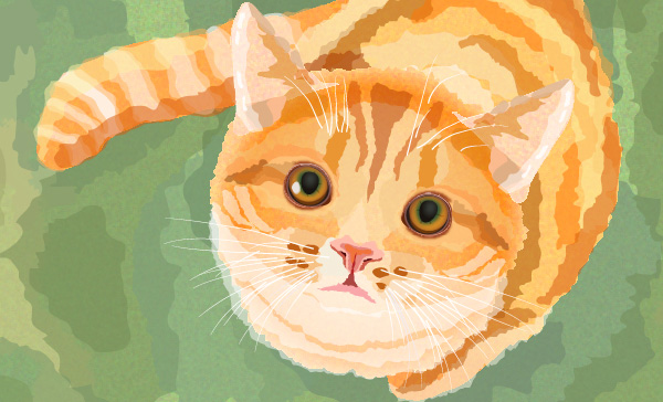 Create a Watercolor Cat in Illustrator