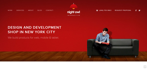 Night Owl Interactive